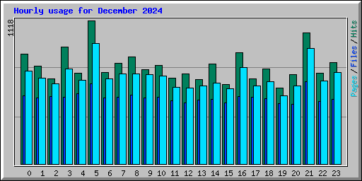 Hourly usage for December 2024