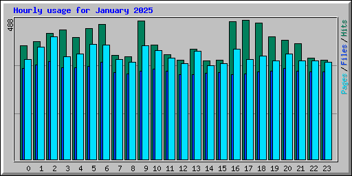 Hourly usage for January 2025