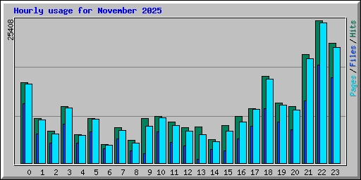 Hourly usage for November 2025